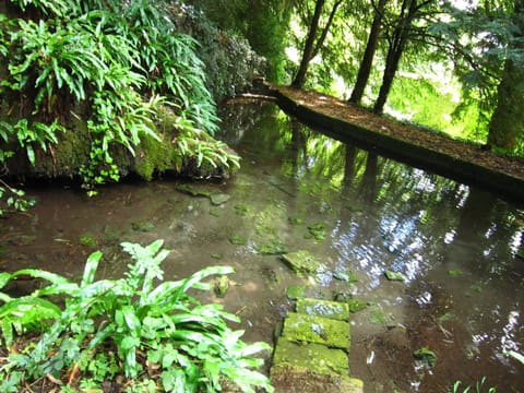 Romantic House, 2 Bedrooms | Garden