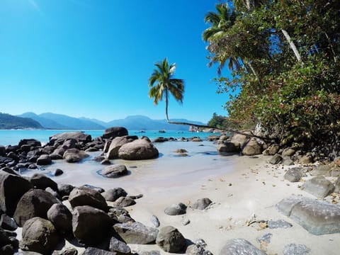 Beach nearby, white sand, beach shuttle, 20 beach bars