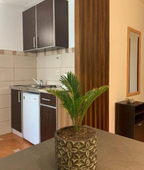 Standard Apartment | Private kitchen | Fridge, cookware/dishes/utensils