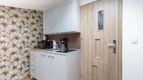 Studio (10.2) | Private kitchen | Fridge, microwave, stovetop, electric kettle