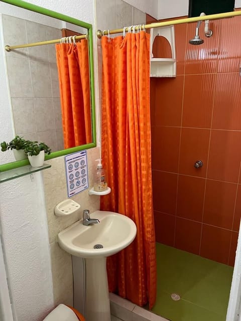 Traditional Double Room | Bathroom | Shower, hair dryer, towels