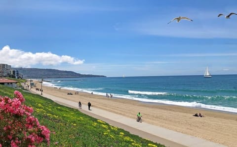 Beach nearby, white sand