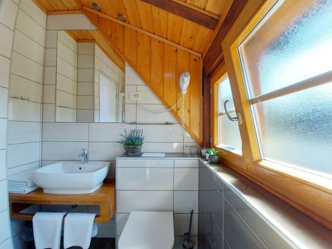 Double Roof room | Bathroom | Shower, free toiletries, hair dryer, towels