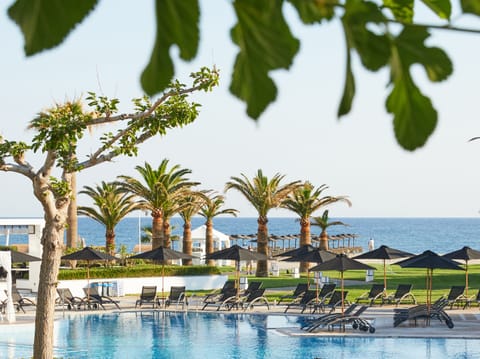 Indoor pool, outdoor pool, sun loungers