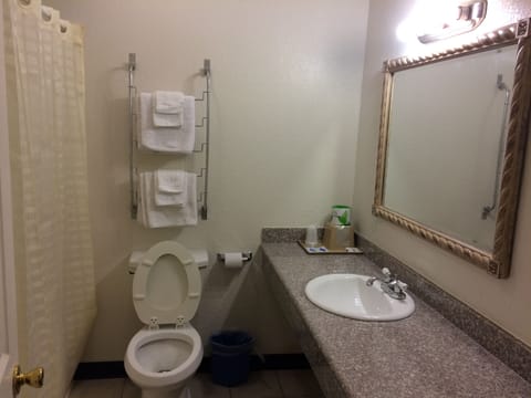 Standard Room, 1 King Bed | Bathroom | Deep soaking tub, free toiletries, hair dryer, towels