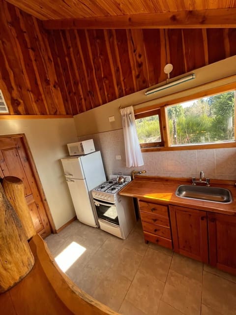 Standard Cabin | Private kitchen | Microwave, freezer