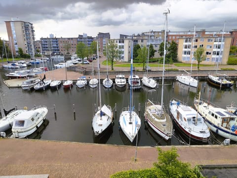 Apartment, Harbor View | View from room