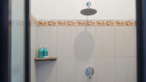 Shower, bathrobes, bidet, towels