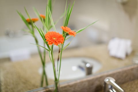 Free toiletries, hair dryer, towels