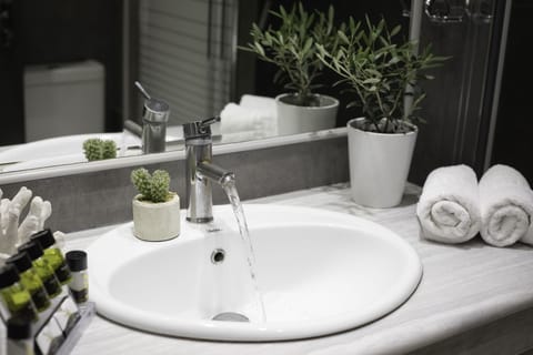 Deluxe Double or Twin Room | Bathroom sink