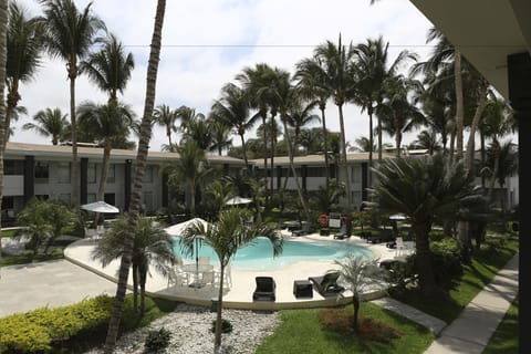 Outdoor pool, sun loungers