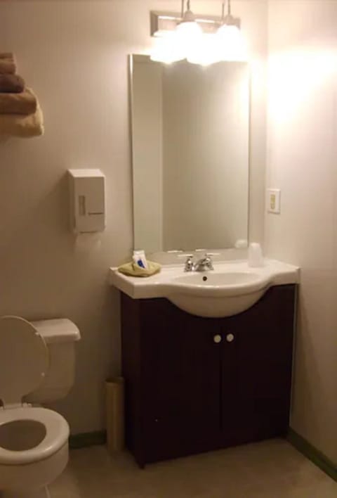 Combined shower/tub, free toiletries, hair dryer, towels