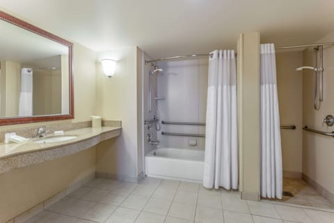 Separate tub and shower, free toiletries, hair dryer, towels