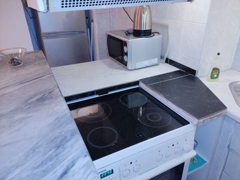 Apartment, 1 Bedroom, Smoking, Balcony | Private kitchen