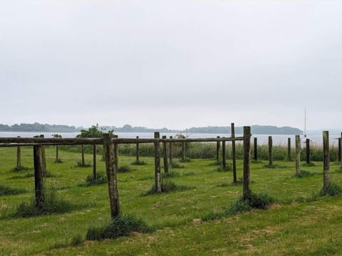 House | Miscellaneous