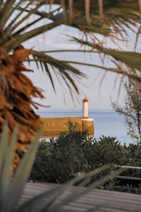 Comfort Suite, Ocean View | In-room safe, desk, blackout drapes, soundproofing