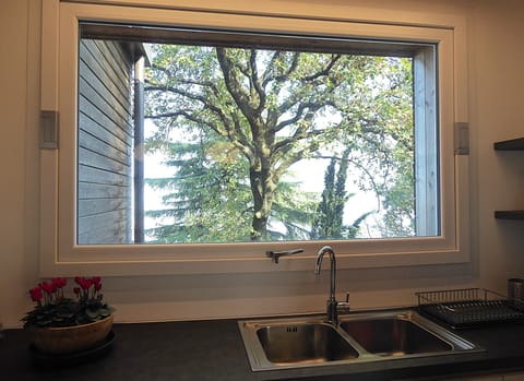 House, Balcony, Hill View | Private kitchen | Fridge, microwave, oven, stovetop