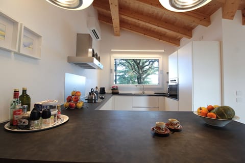 House, Balcony, Hill View | Private kitchen | Fridge, microwave, oven, stovetop