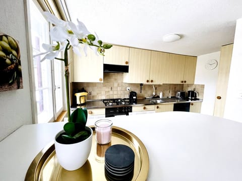 Apartment, 2 Bedrooms, City View | Private kitchen