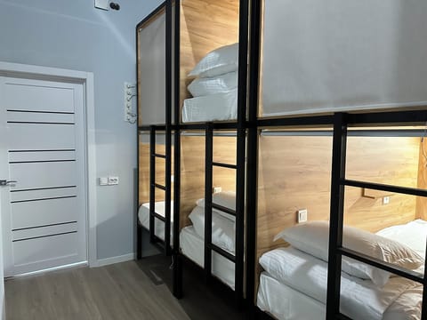 Basic Shared Dormitory, Mixed Dorm, Non Smoking | Capsule