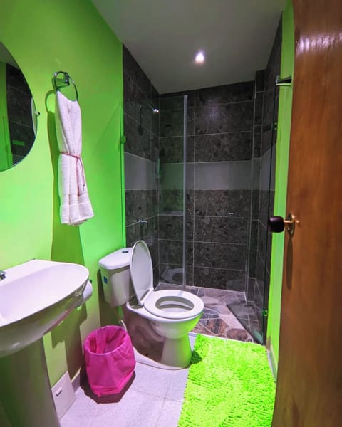 Double Room | Bathroom | Shower, towels, soap, shampoo