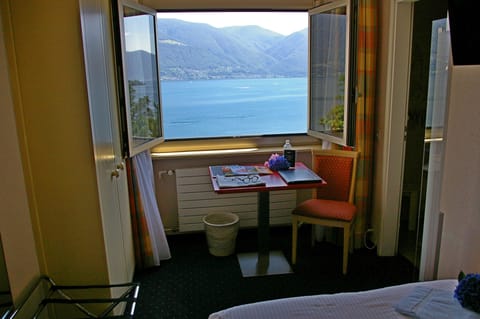 Comfort Single Room, Lake View (no balcony) | View from room
