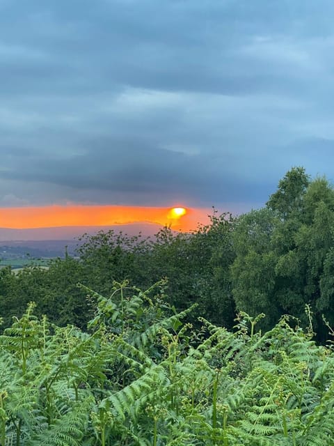 Cabin | Miscellaneous