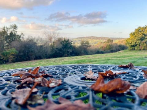 Cabin | Property grounds