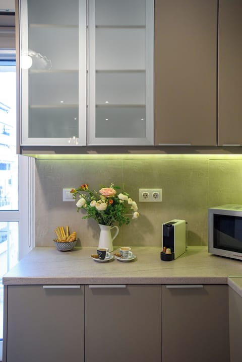 Family Apartment | Private kitchen | Full-size fridge, microwave, oven, stovetop