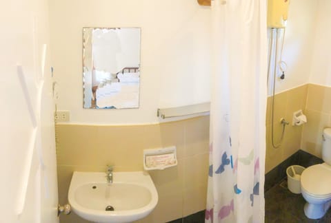 Deluxe Room | Bathroom | Shower, free toiletries, hair dryer, towels