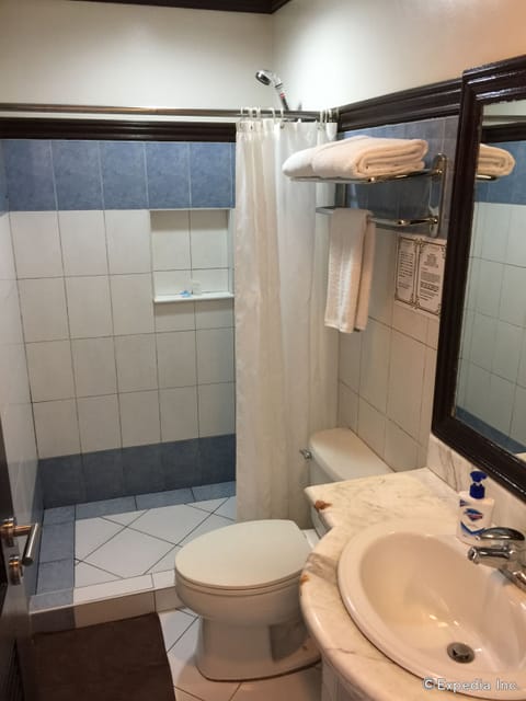 Business Suite | Bathroom | Shower, free toiletries, towels