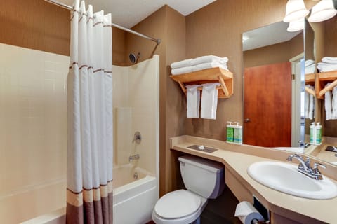 Combined shower/tub, free toiletries, hair dryer, towels