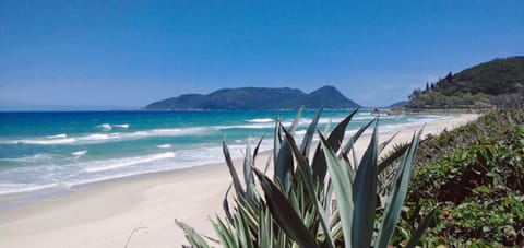 Beach nearby, beach umbrellas