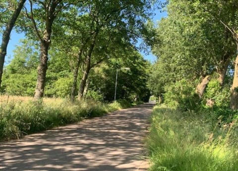 House | View from property