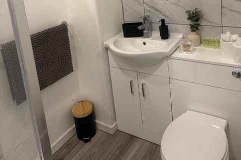 Shower, hair dryer, towels, toilet paper