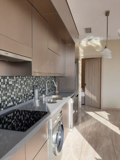 Deluxe Apartment, City View | Private kitchen