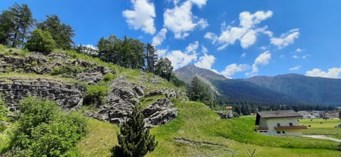 Junior Suite | View from room