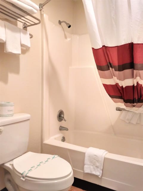 Combined shower/tub, free toiletries, towels