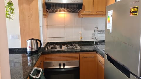 Panoramic Apartment, 1 Double Bed with Sofa bed, Mountain View | Private kitchen | Microwave, stovetop, cookware/dishes/utensils