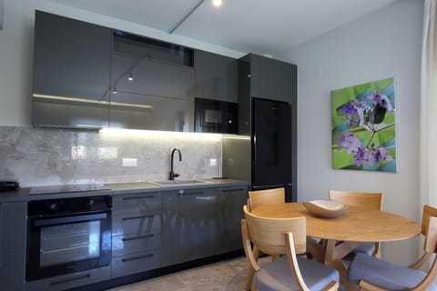 Apartment, City View | Private kitchen | Fridge, microwave, oven, stovetop