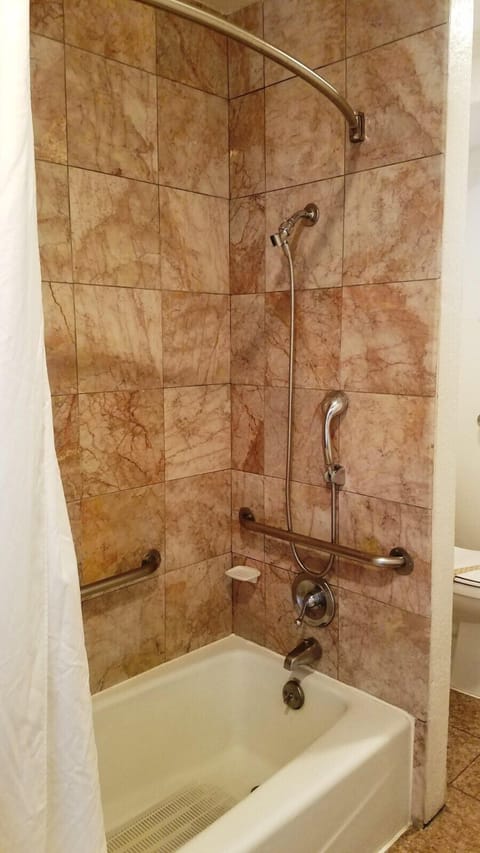 Combined shower/tub, free toiletries, hair dryer, towels