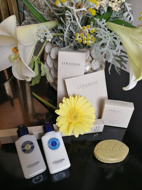 Free toiletries, hair dryer, towels, soap