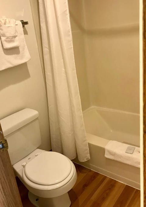 Combined shower/tub, hair dryer, towels