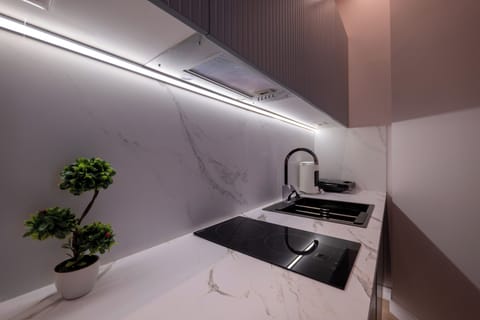 Depo Apartment 2 | Private kitchen