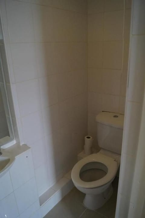 Apartment | Bathroom | Shower, free toiletries, hair dryer, towels