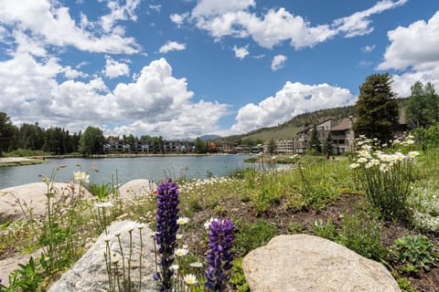 Apartment (1 Bedroom) | Exterior