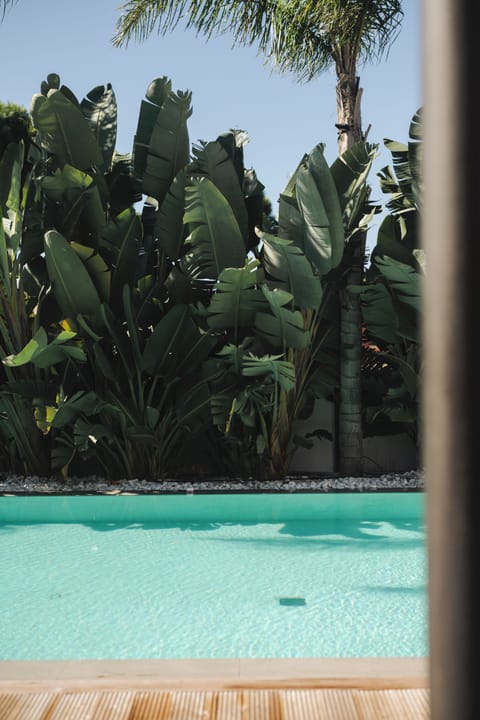 Outdoor pool, pool umbrellas