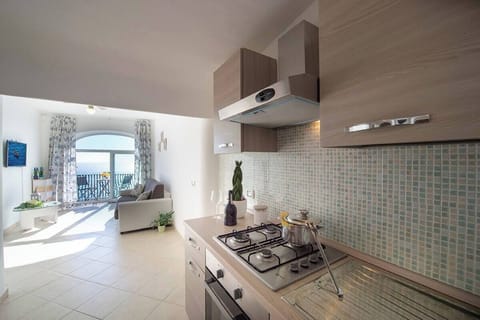 Panoramic Apartment | Private kitchen | Full-size fridge, stovetop, cookware/dishes/utensils, cleaning supplies