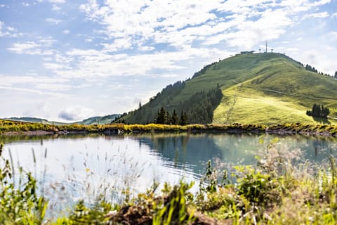 Apartment | Exterior