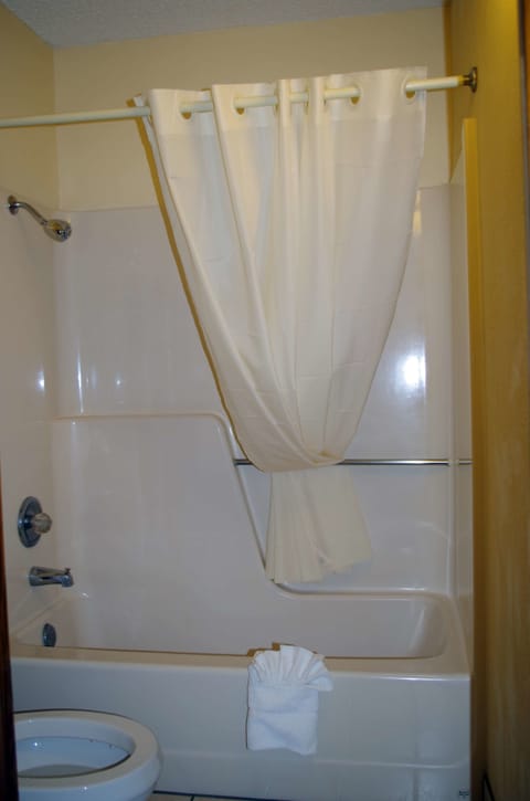 Combined shower/tub, free toiletries, hair dryer, towels